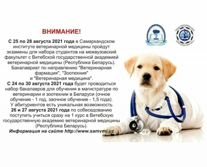 Samarkand xamda Belarus Respulikasi Vitebsk davlat veterinariya meditsinasi qushma fakultetlariga 2021-2022 yil 25-28-avgust kunlari uchun qabul bulib o‘tadi.