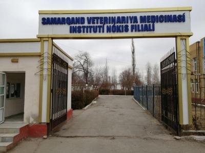 САМАРҚАНД ВЕТЕРИНАРИЯ МЕДИЦИНАСИ ИНСТИТУТИНИНГ НУКУС ФИЛИАЛИ ЖАМОАСИ ЎҚИШНИ ЯНГИ БИНОДА БОШЛАДИ