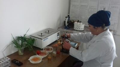 ЭПИЗООТИК БАРҚАРОРЛИКНИ ТАЪМИНЛАШ ТАДБИРИ ТАШКИЛ ЭТИЛДИ