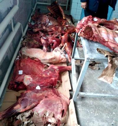 ТОШКЕНТ ШАҲРИГА ОЛИБ КЕТИЛАЁТГАН 351 КГ СИФАТСИЗ ГЎШТ МАҲСУЛОТЛАРИ ТЎХТАТИБ ҚОЛИНДИ